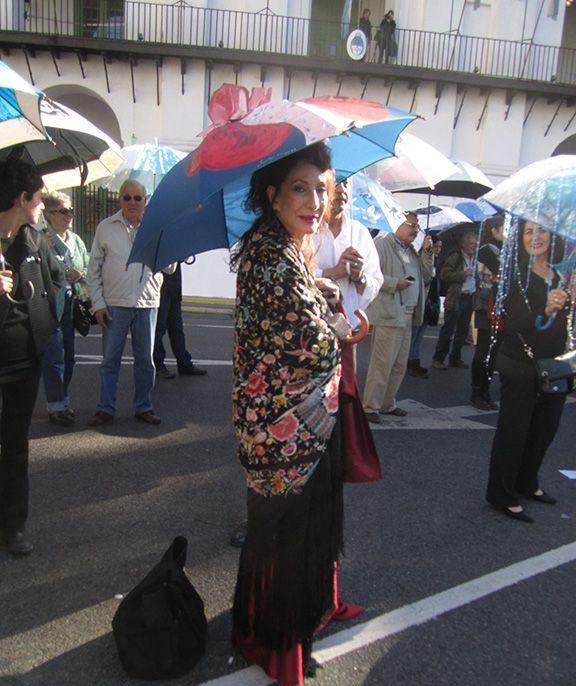 «Paraguas del Cabildo en el Bicentenario» Año 2011