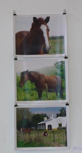 «MIRADAS DISONANTES» de «FOTOGRAFIA ARGENTINA CONTEMPORANEA» en Friburgo, Alemania; 2012