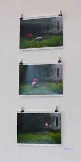 «MIRADAS DISONANTES» de «FOTOGRAFIA ARGENTINA CONTEMPORANEA» en Friburgo, Alemania; 2012