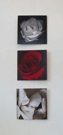 «MIRADAS DISONANTES» de «FOTOGRAFIA ARGENTINA CONTEMPORANEA» en Friburgo, Alemania; 2012