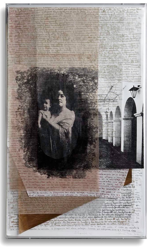 LUCIA TORRES «VIDA» 3 - Litografía 100x60x4cm - Año 2018 «X° Salón Anual Nacional Bicentenerio del Grabado», en el Museo Municipal de Artes Visuales de Urquiza, Concordia