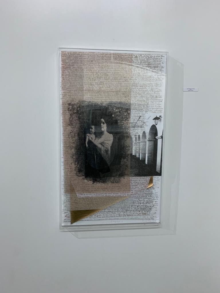 LUCIA TORRES «VIDA» 3 - Litografía 100x60x4cm - Año 2018 «X° Salón Anual Nacional Bicentenerio del Grabado», en el Museo Municipal de Artes Visuales de Urquiza, Concordia