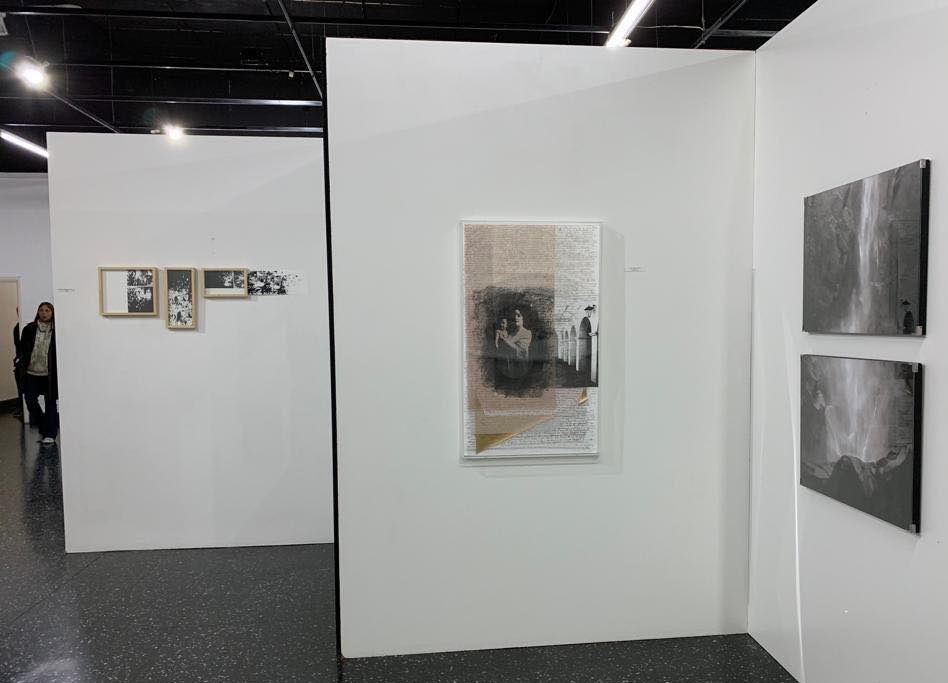 LUCIA TORRES «VIDA» 3 - Litografía 100x60x4cm - Año 2018 «X° Salón Anual Nacional Bicentenerio del Grabado», en el Museo Municipal de Artes Visuales de Urquiza, Concordia