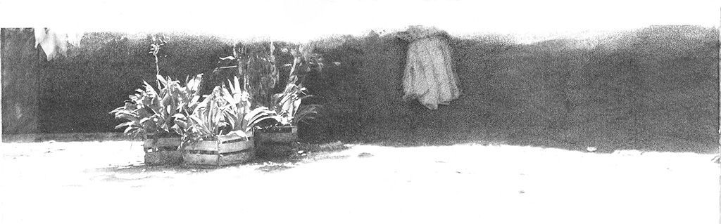 LUCÍA TORRES «LATIDO» VIII - 19x56cm - Año 2010