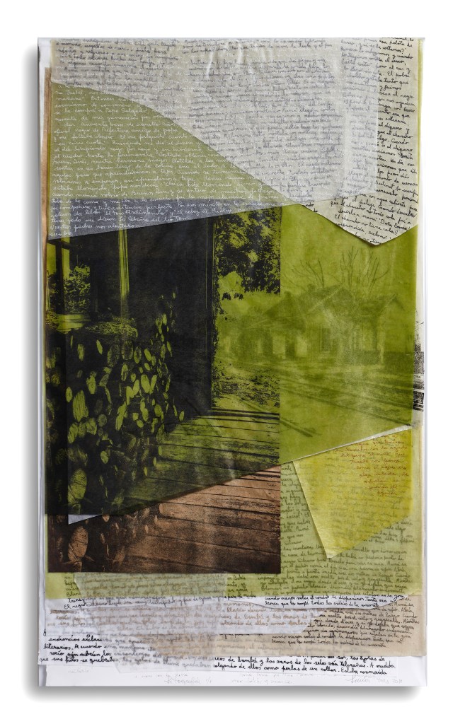 LUCIA TORRES «VIDA» 2 - Litografía 100x60x4cm - Año 2018