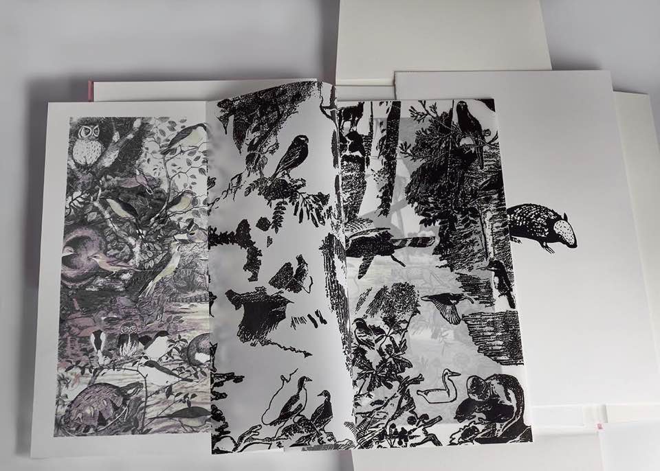 III Bienal Libro de Artista / Museo Casa Carnacini 2018