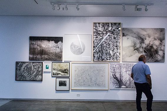 «61 Salón de Artes Plásticas Manuel Belgrano» en el Museo de Artes Plásticas Eduardo Sívori, 2016