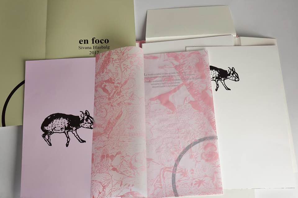 III Bienal Libro de Artista / Museo Casa Carnacini 2018