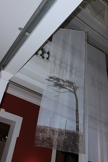 LUCIA TORRES - Instalación «Migrante» en María Elena Kavetz Gallery, Córdoba