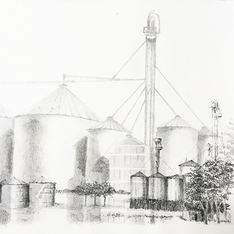 LUCIA TORRES - Serie «VIDA» 11 - Litografía 28x28cm - Año 2019