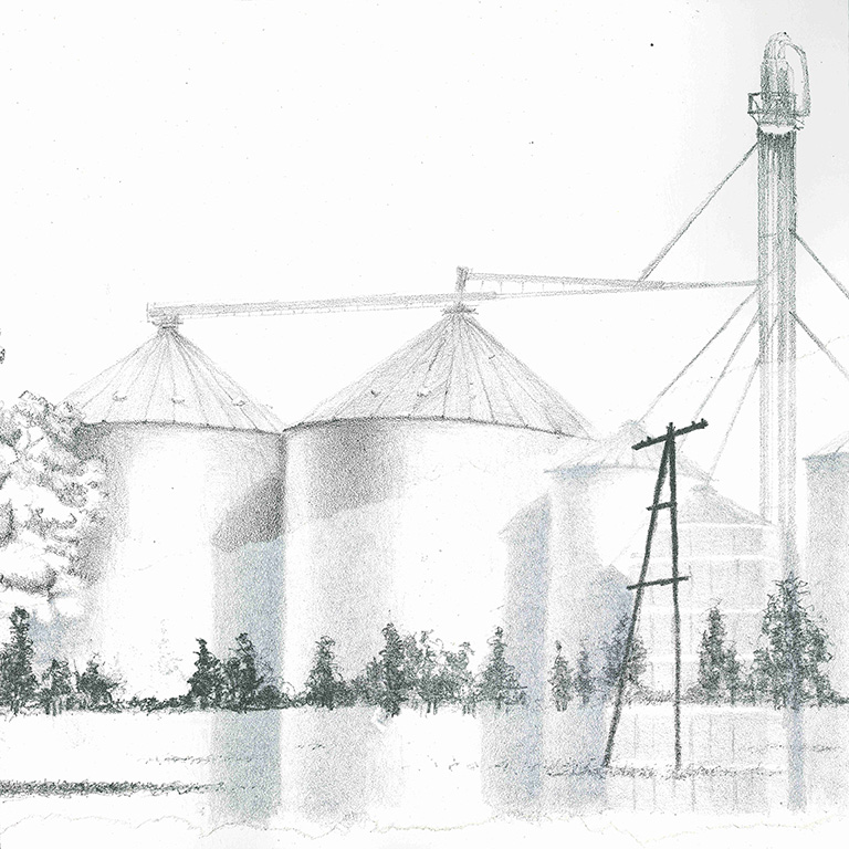 LUCIA TORRES - Serie «VIDA» 12 - Litografía 28x28cm - Año 2019