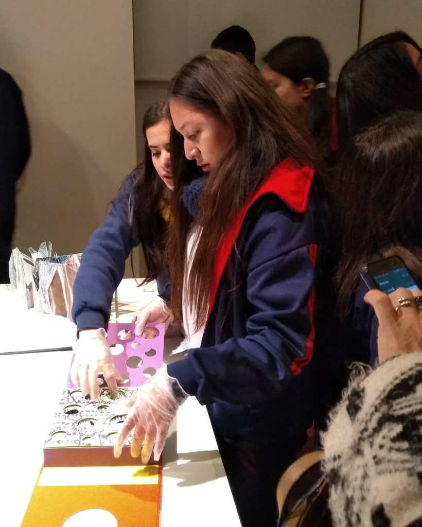 III Bienal Libro de Artista / Museo Casa Carnacini 2018