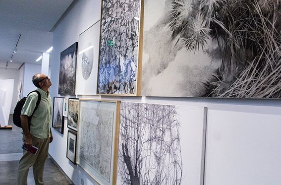 «61 Salón de Artes Plásticas Manuel Belgrano» en el Museo de Artes Plásticas Eduardo Sívori, 2016