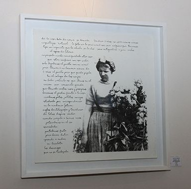 LUCIA TORRES - Instalación «Migrante» en María Elena Kavetz Gallery, Córdoba