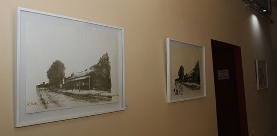 LUCIA TORRES - Instalación «Migrante» en María Elena Kavetz Gallery, Córdoba