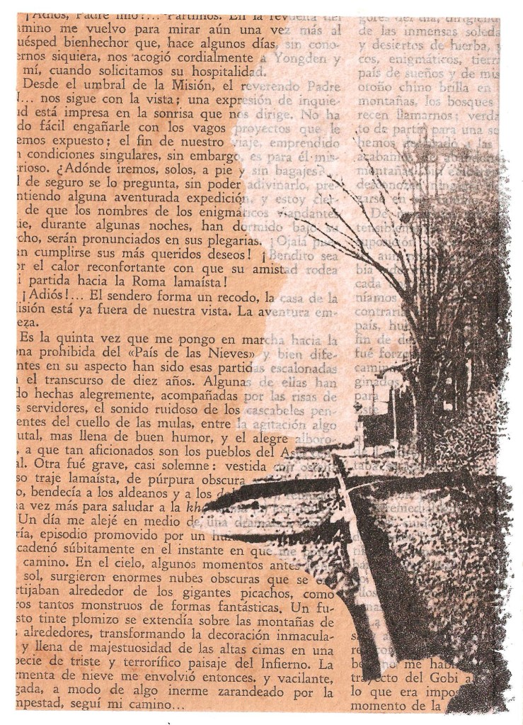 LUCIA TORRES - Instantes en la «VIDA» 14 – Litografía 18x13cm – Año 2018