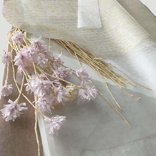 LUCIA TORRES en «Piel de papel» en el Museo Lucy Mattos, 2017