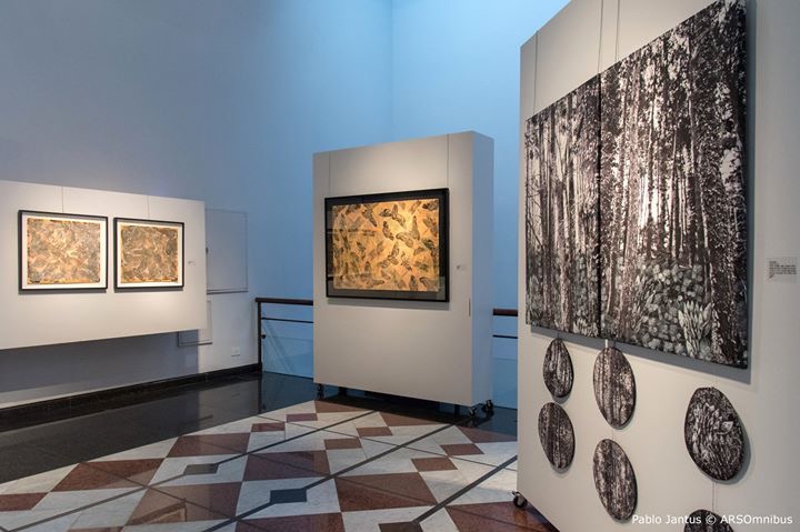 «Otras tramas entre la ruta de tus pasos NATURALEZA Y URBANISMO» del «GRUPO 5» Erman-Leiva-Torres-Blasbalg, en el Museo Banco Provincia de Buenos Aires