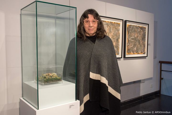 «Otras tramas entre la ruta de tus pasos NATURALEZA Y URBANISMO» del «GRUPO 5» Erman-Leiva-Torres-Blasbalg, en el Museo Banco Provincia de Buenos Aires