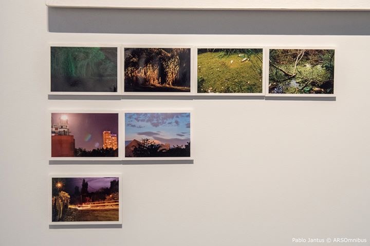 «Otras tramas entre la ruta de tus pasos NATURALEZA Y URBANISMO» del «GRUPO 5» Erman-Leiva-Torres-Blasbalg, en el Museo Banco Provincia de Buenos Aires