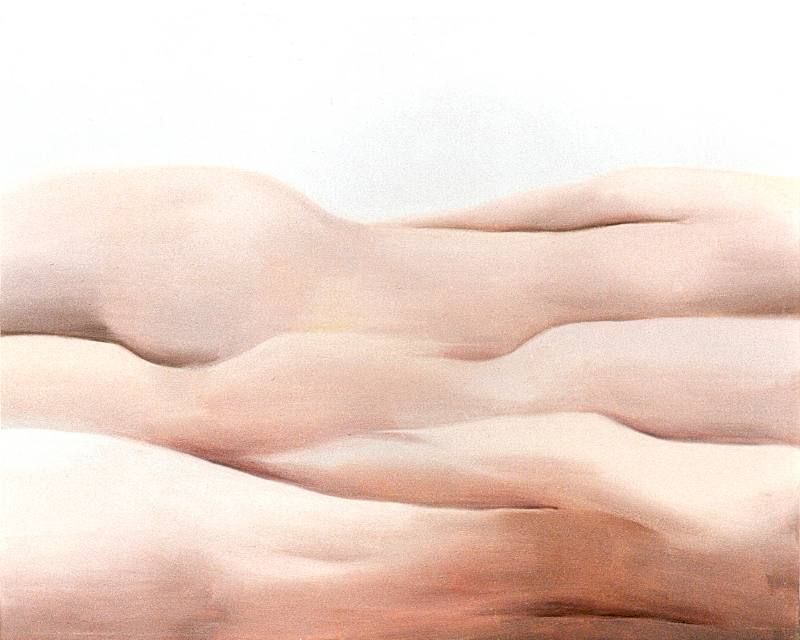 LUCIA TORRES «MESETA..., PATAGONIA..., ESA PIEL...» con «Interiores...» 10 - Óleo sobre tela 80x100cm - Año 2000