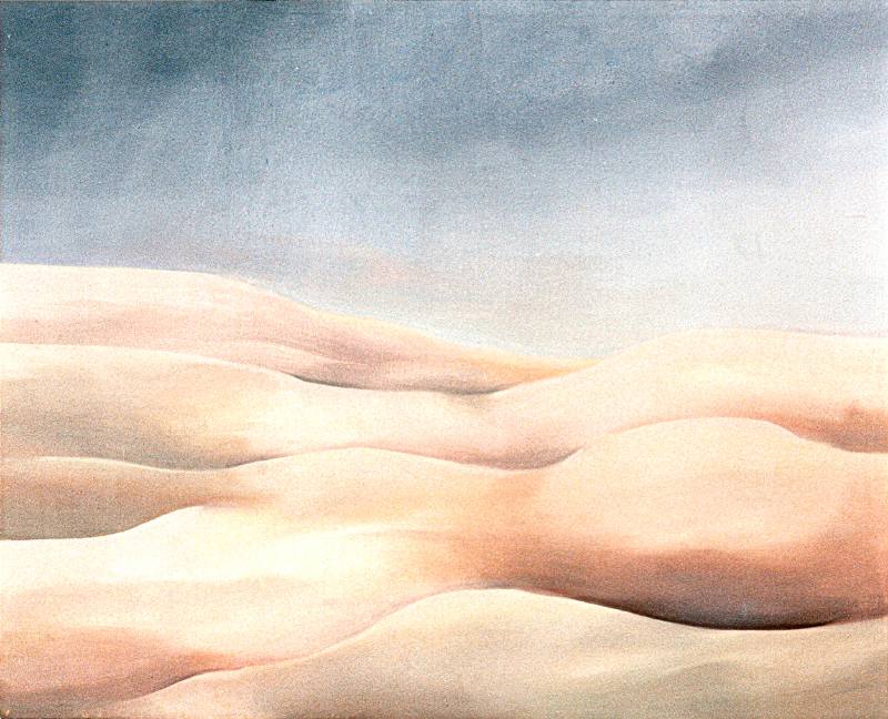 LUCIA TORRES «MESETA..., PATAGONIA..., ESA PIEL...» con «Interiores...» 8 - Óleo sobre tela 80x100cm - Año 2000