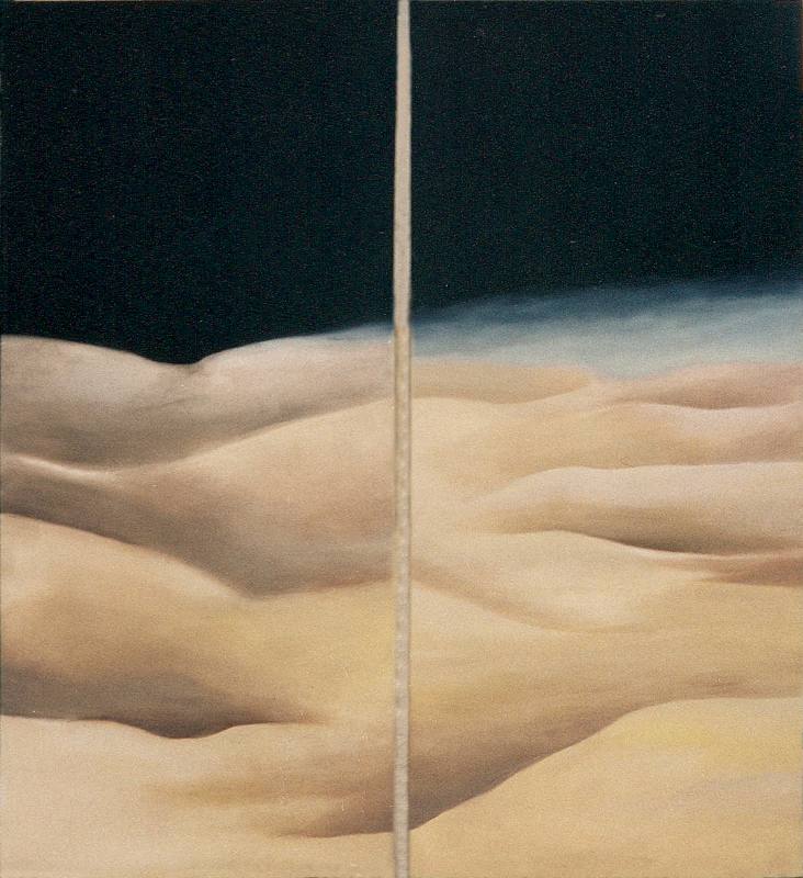 LUCIA TORRES «MESETA..., PATAGONIA..., ESA PIEL...» (fragmento ambientación) con Óleo sobre tela - 200x180cm - Año 2001