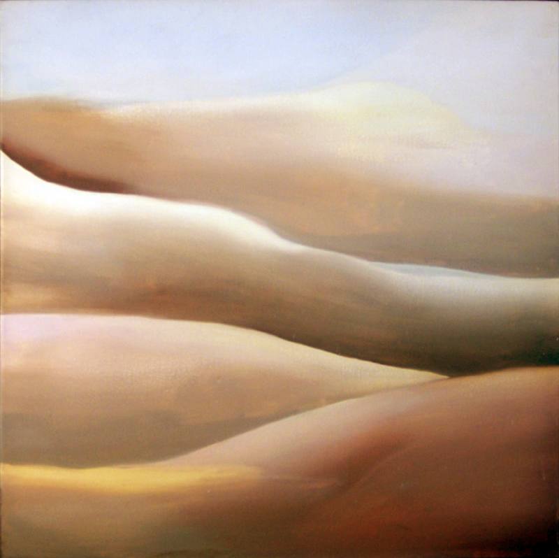 LUCIA TORRES «MESETA..., PATAGONIA..., ESA PIEL...» 10 Óleo sobre tela - 90x90cm - Año 2001