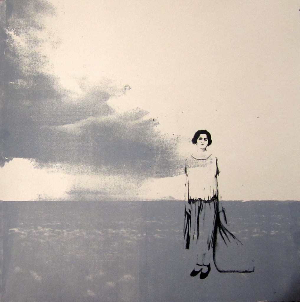 LUCIA TORRES «Migrante» 8 - Litografía en Poliester print 30x30cm - Año 2013