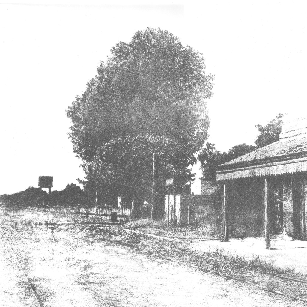 LUCIA TORRES «MIGRANTE» 112 - Litografía 30x30cm - Año 2014