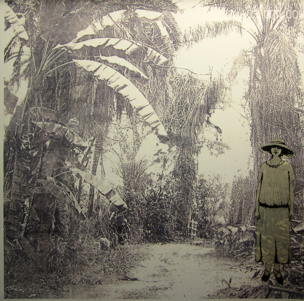 LUCIA TORRES «Migrante» 27 - Poliester print 30x30cm - Año 2013