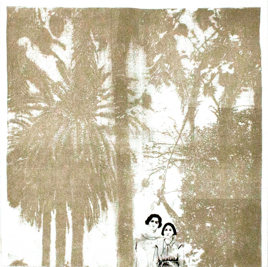 LUCIA TORRES «Migrante» 28 - Poliester print 30x30cm - Año 2013