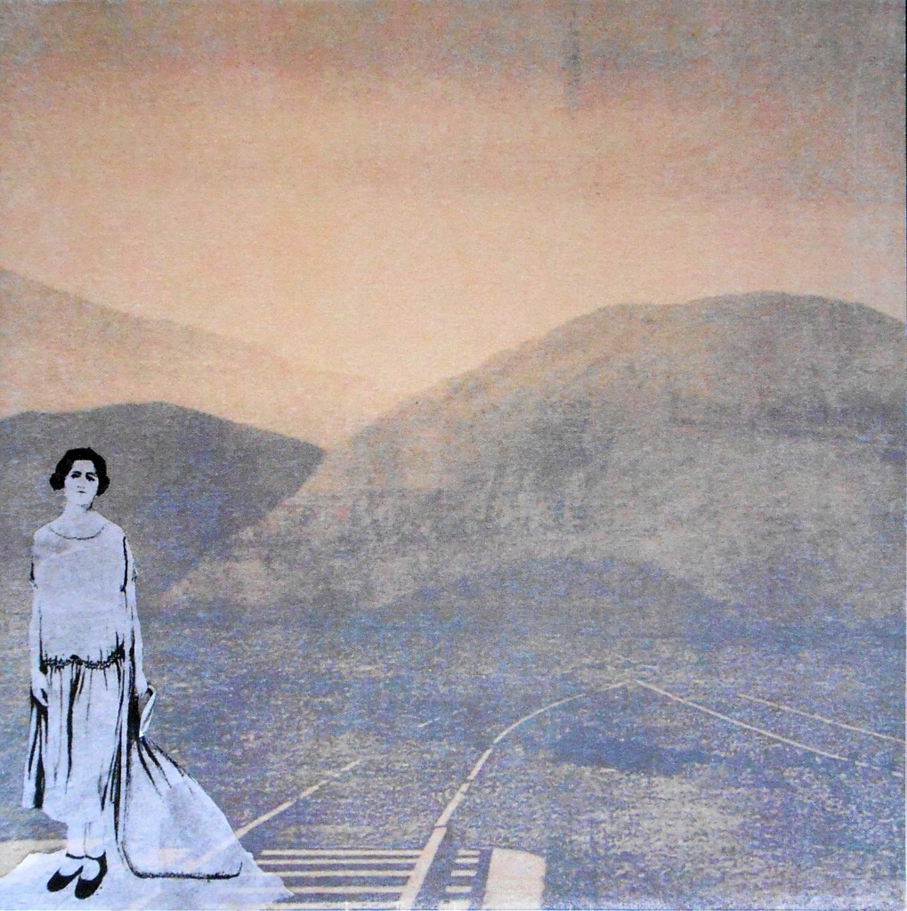 LUCIA TORRES «Migrante» 64 - Litografía en Poliester, Giclee 30x30cm - Año 2013