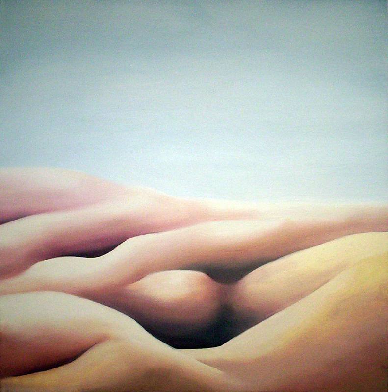 LUCIA TORRES «MESETA..., PATAGONIA..., ESA PIEL...» con Óleo sobre tela - 100x100cm - Año 2001