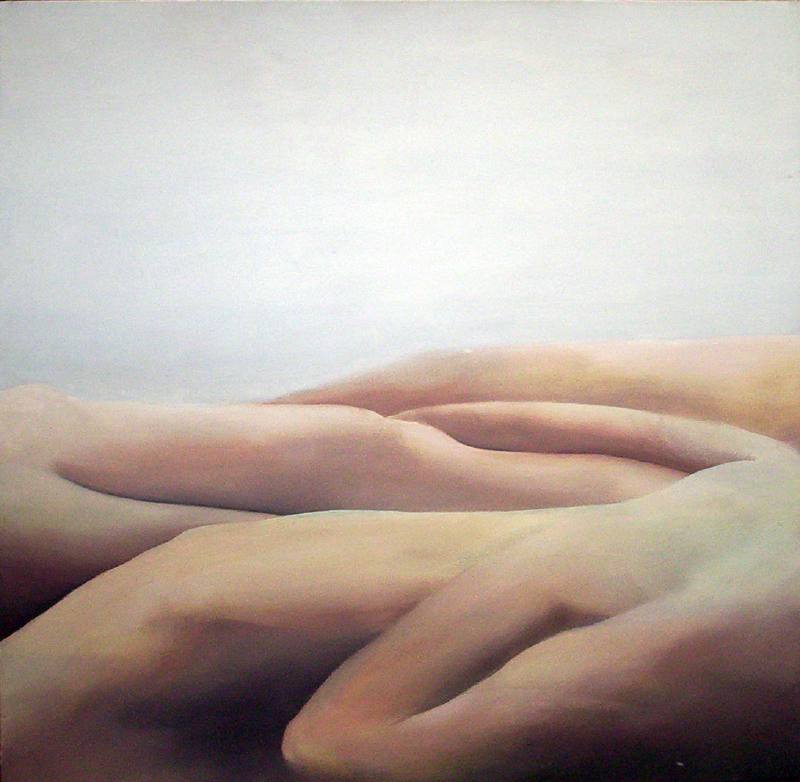 LUCIA TORRES «MESETA..., PATAGONIA..., ESA PIEL...» Óleo sobre tela 100x100cm - Año 2001