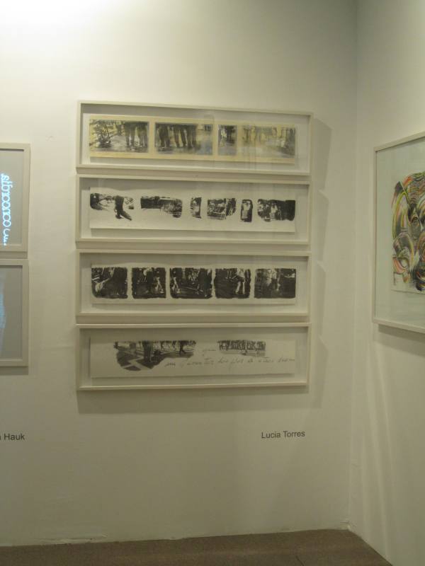 LUCIA TORRES «TERRITORIO» en «Ch.ACO’11 Feria de Arte Contemporáneo - Centro Cultural Estación Mapocho» Santiago de Chile, 2011