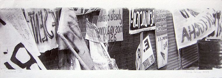 LUCIA TORRES «TERRITORIO» XI - Transfer 19x56cm - Año 2007