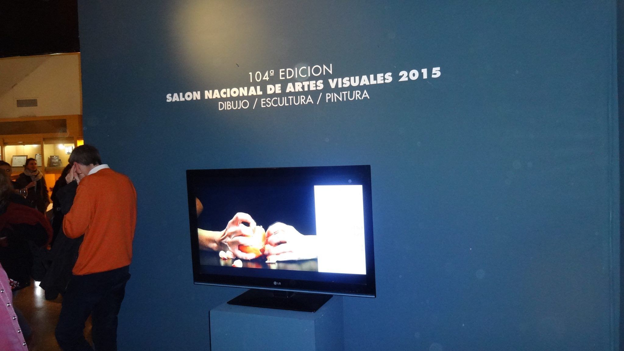 «104 Edición SALON NACIONAL DE ARTES VISUALES 2015» en el Palais de Glace, Palacio Nacional de las Artes