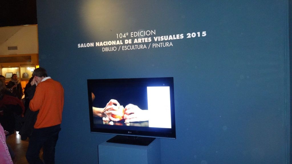 «104 Edición SALON NACIONAL DE ARTES VISUALES 2015» en el Palais de Glace, Palacio Nacional de las Artes