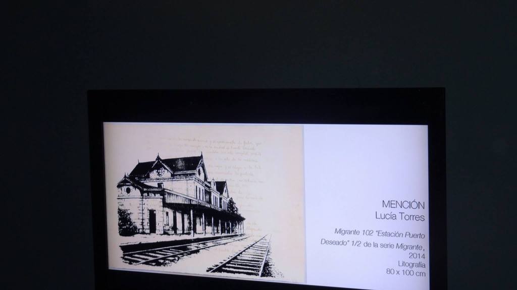 LUCIA TORRES «MENCIÓN» en la «104 Edición SALON NACIONAL DE ARTES VISUALES 2015» en el Palais de Glace, Palacio Nacional de las Artes