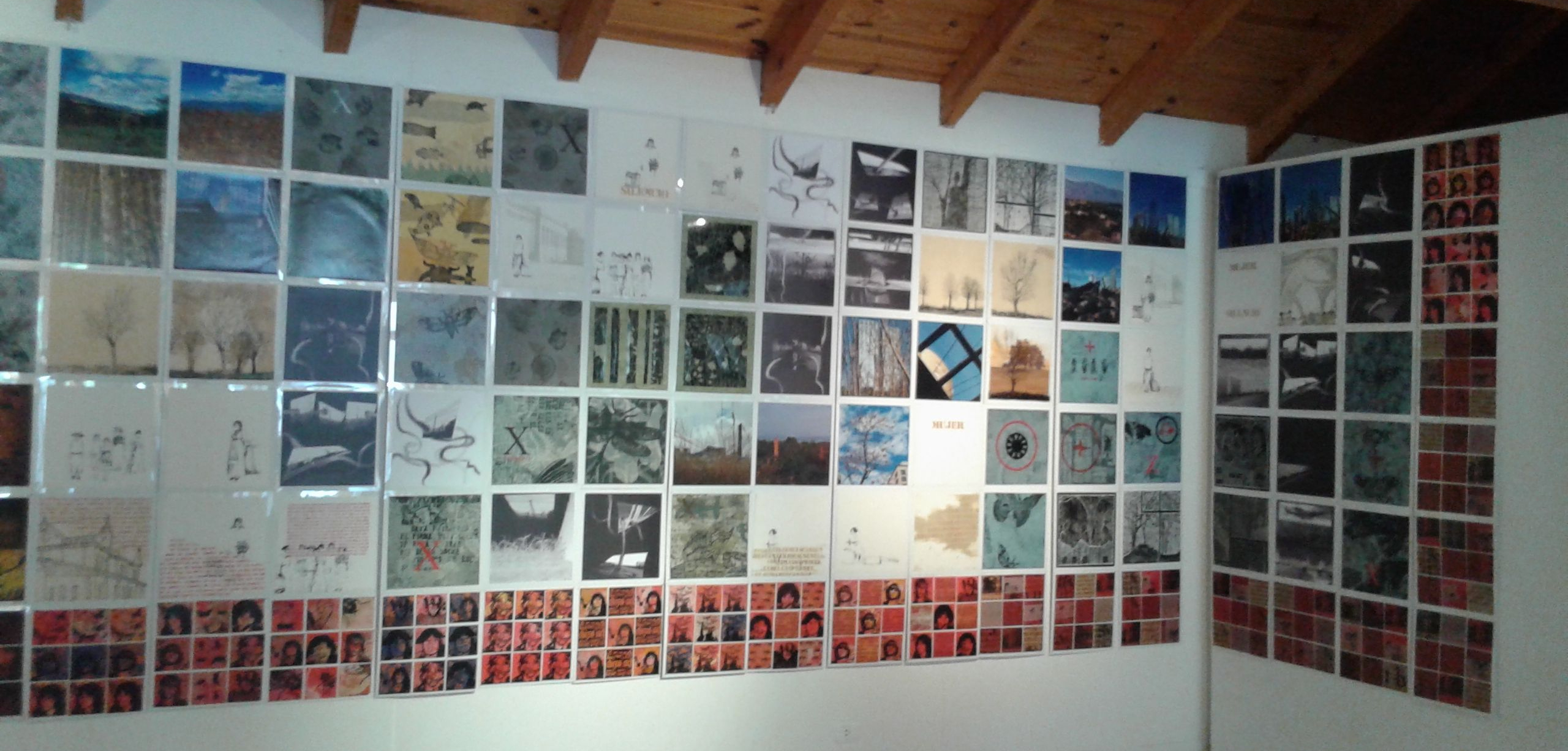 «Grupo 5» en San Martín de los Andes, 2015