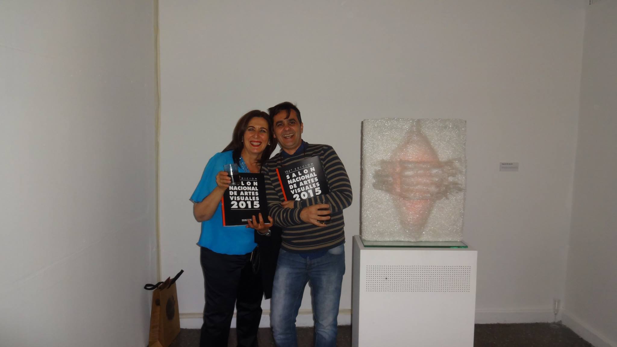 «104 Edición SALON NACIONAL DE ARTES VISUALES 2015» en el Palais de Glace, Palacio Nacional de las Artes