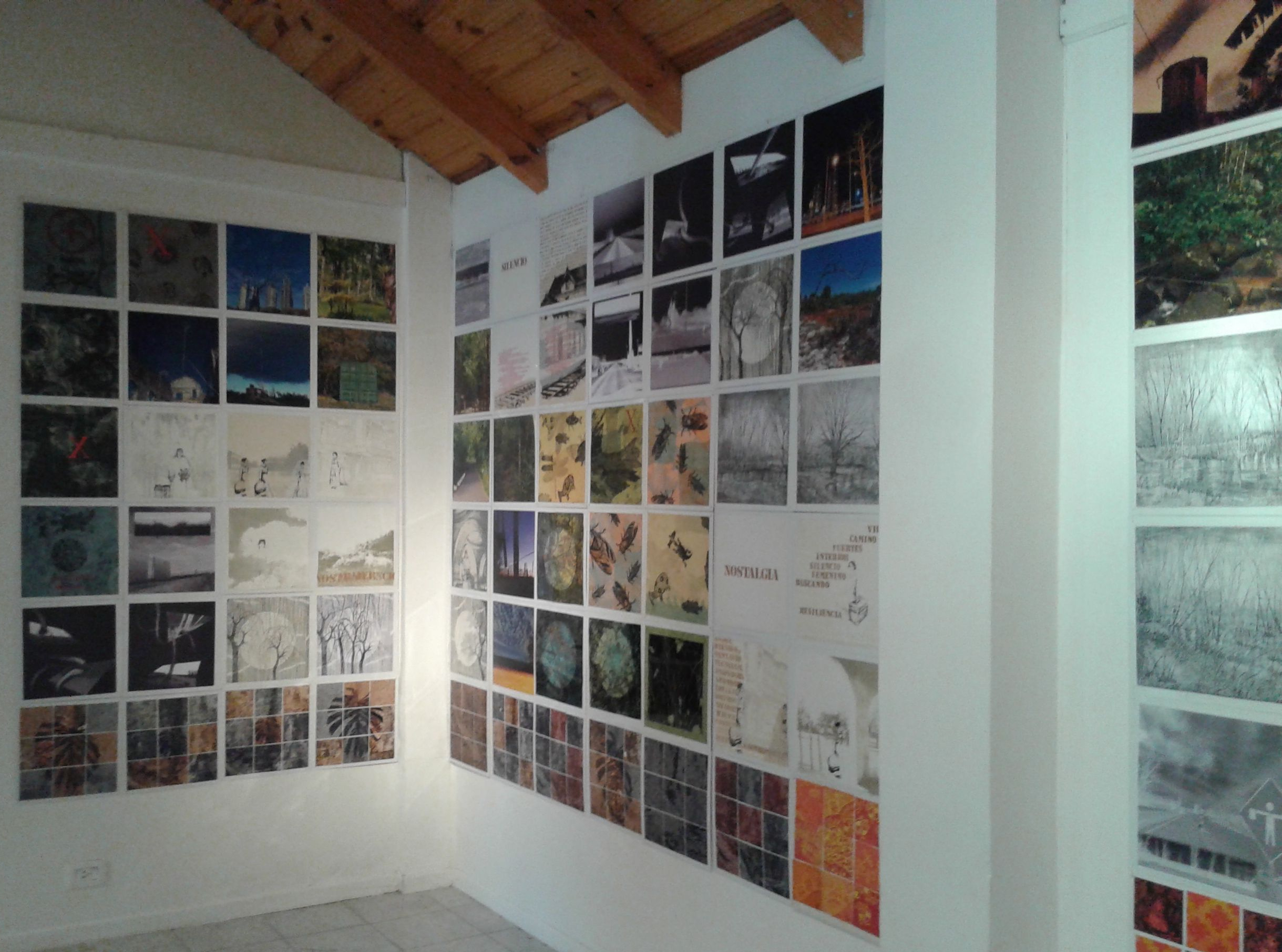 «Grupo 5» en San Martín de los Andes, 2015