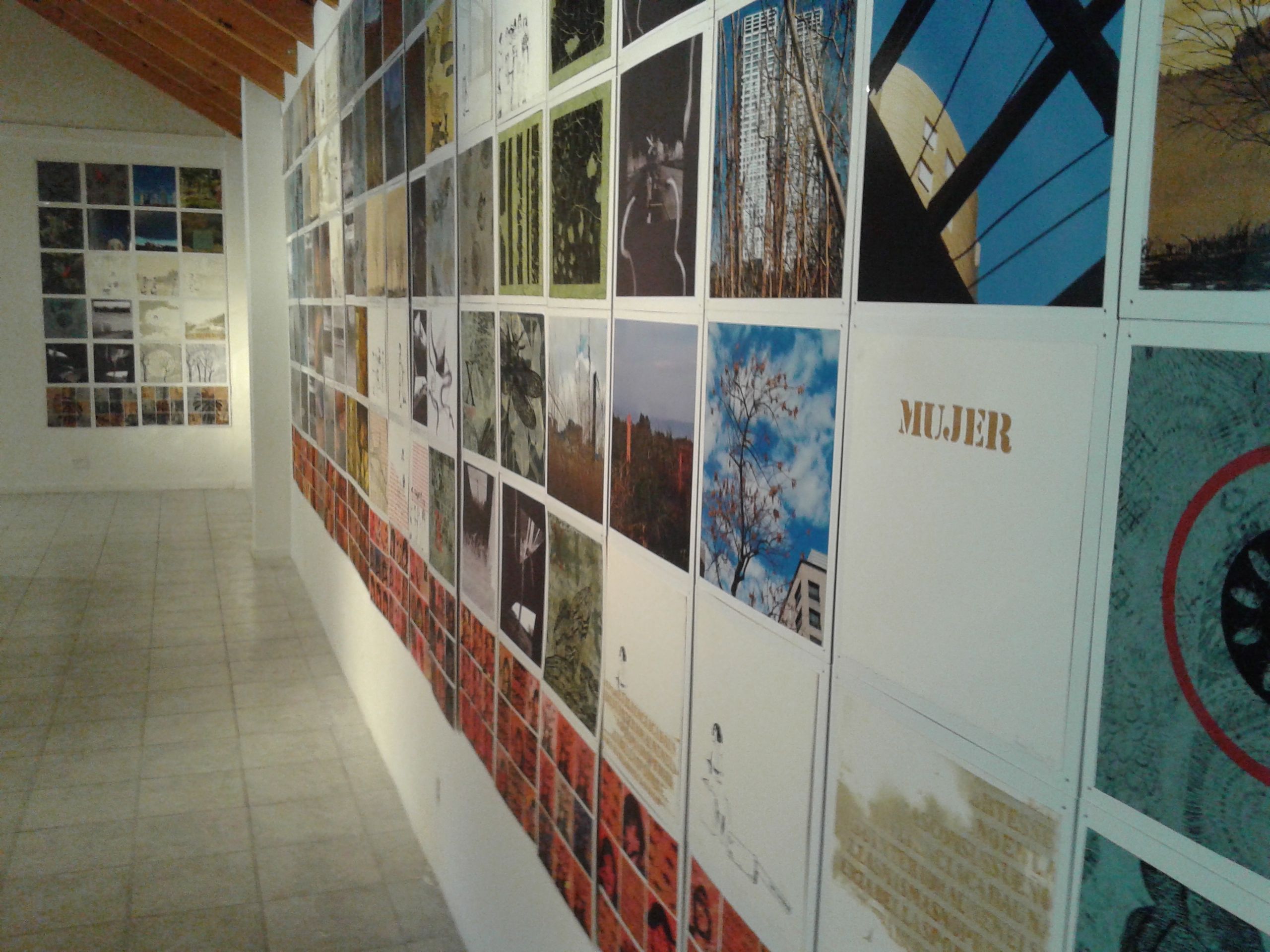 «Grupo 5» en San Martín de los Andes, 2015