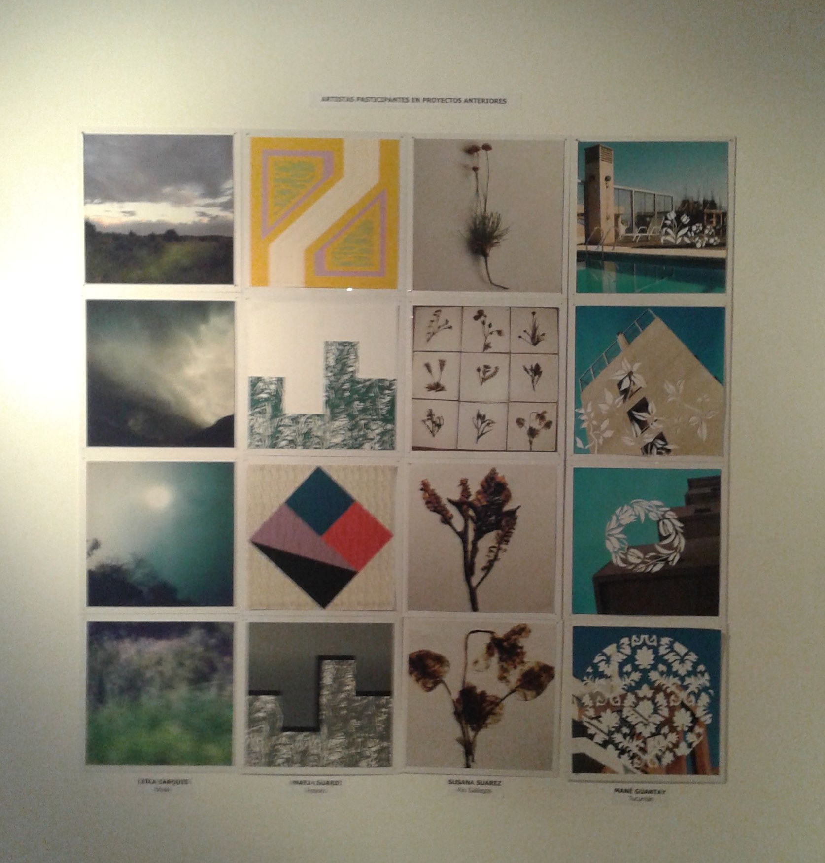 «Grupo 5» en San Martín de los Andes, 2015