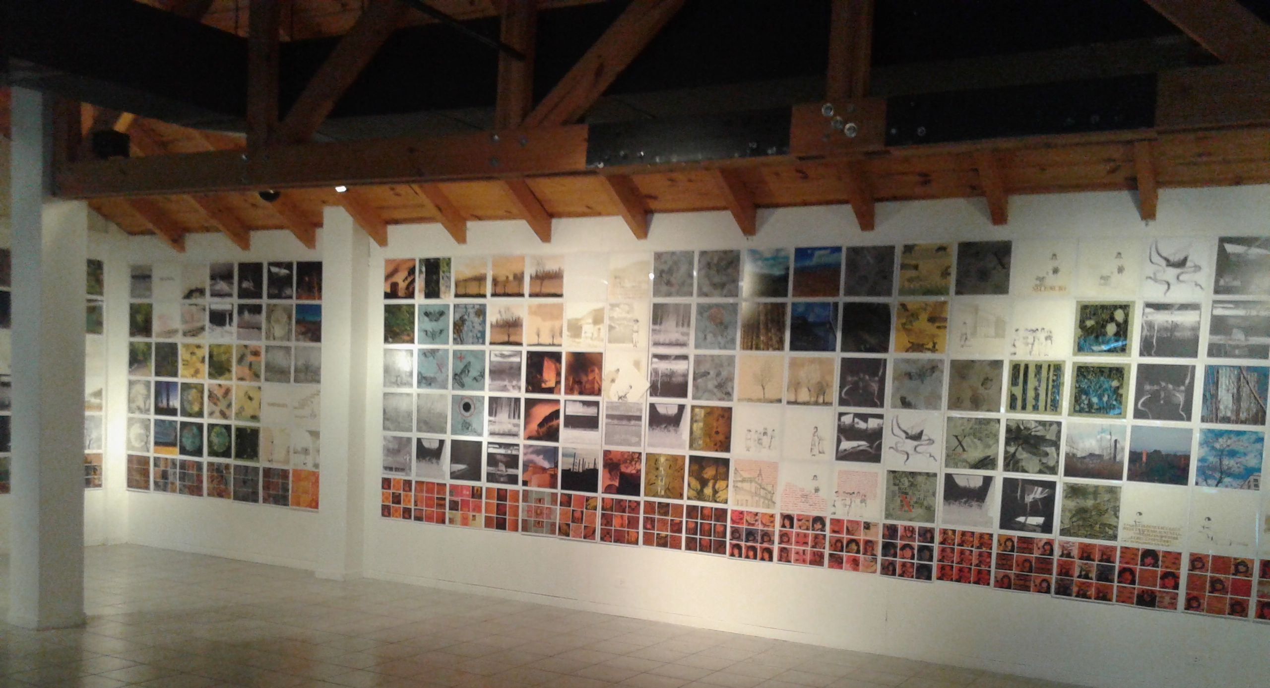 «Grupo 5» en San Martín de los Andes, 2015