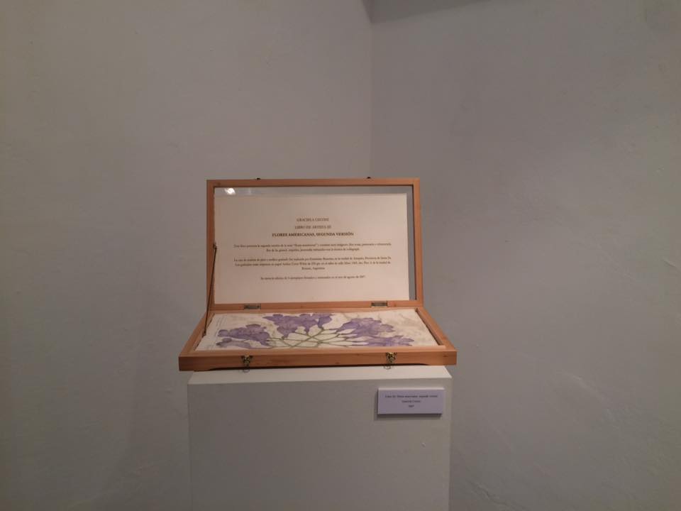 «4+4 Libros de Artista» Rosario + Buenos Aires - Año 2015