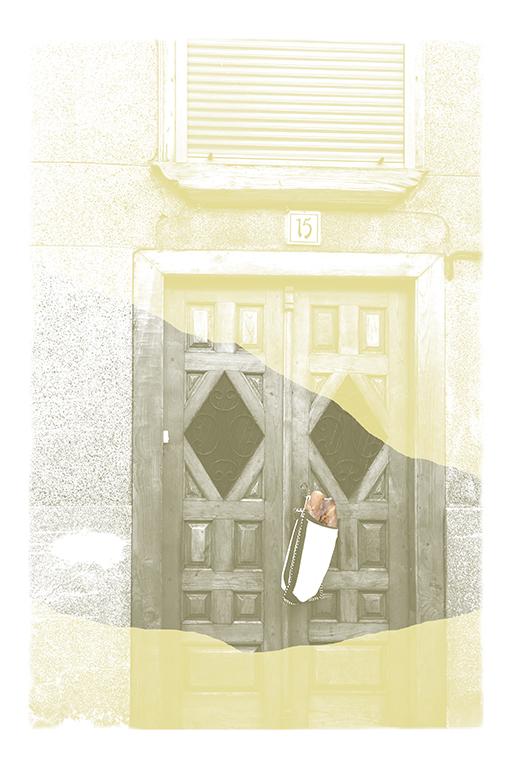 LUCIA TORRES «Vida 2020» Gráfica Digital - 30x20cm - Año 2020 en «GRÁFICA 2020» A pesar de todo. Centro Cultural «El Cántaro» Año 2020