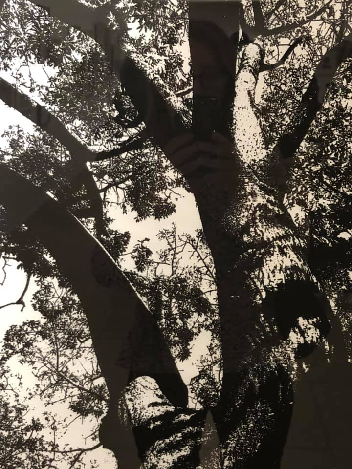 «LITOGRAFÍA ARGENTINA CDE 2019» Centro de Edición, Central Newbery Galería de Arte - Año 2019