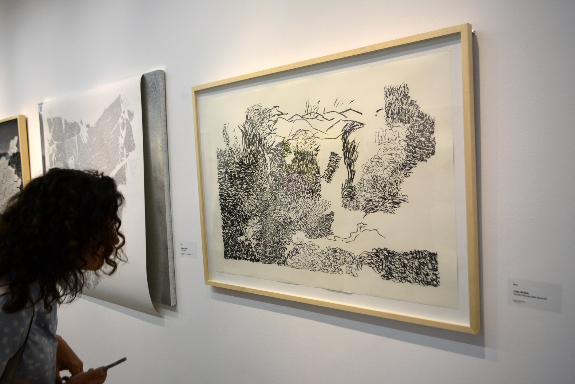 «63° Salón de Artes Plásticas Manuel Belgrano 2018», Museo Sívori, CABA